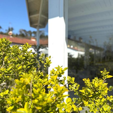 Le Village Sarzana Exteriör bild
